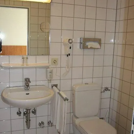 Hotel Restaurant Alter Hof 2*