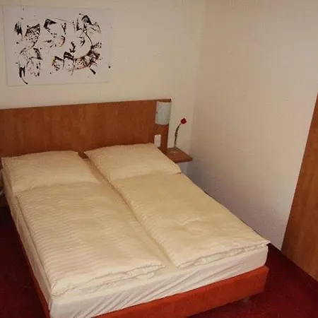 Hotel Restaurant Alter Hof 2*