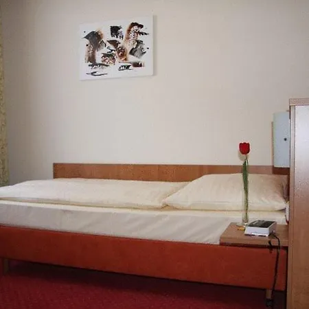 Hotel Restaurant Alter Hof 2*