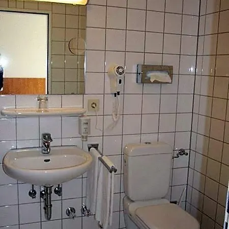 Restaurant Alter Hof Ξενοδοχείο Hofheim am Taunus