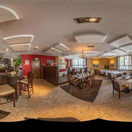 Отель Restaurant Alter Hof Хофхайм-ам-Таунус