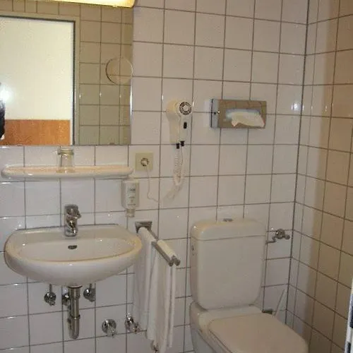 Hotel Restaurant Alter Hof 2*