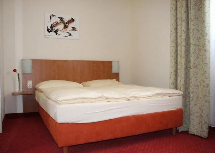 Hotel Restaurant Alter Hof 2*