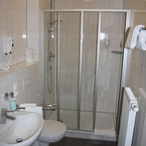 Hotel Restaurant Alter Hof 2*